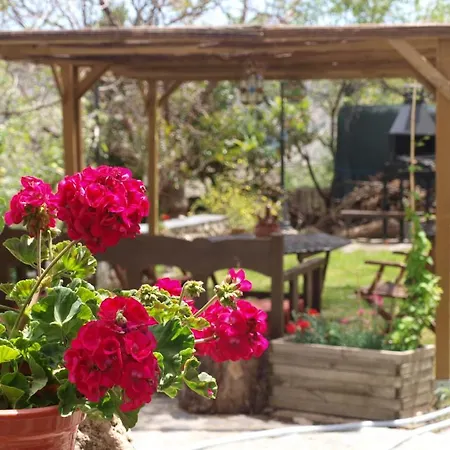 Apartamento El Huerto De
